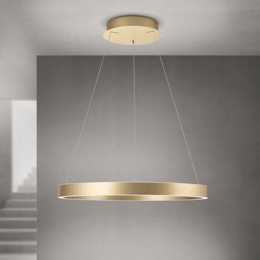 LED stmievateľný luster na lanku KOLK LED/60W/230V 2700/3000/4000K, priemer 60 cm, zlatý