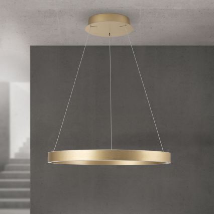 LED stmievateľný luster na lanku KOLK LED/60W/230V 2700/3000/4000K, priemer 60 cm, zlatý