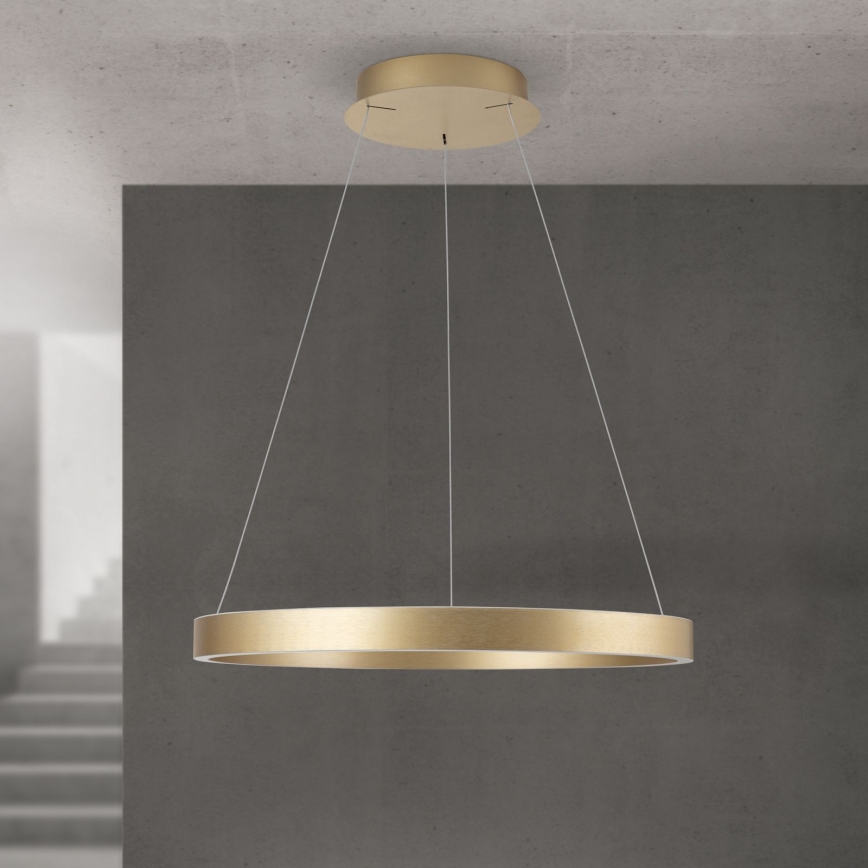 LED stmievateľný luster na lanku KOLK LED/60W/230V 2700/3000/4000K, priemer 60 cm, zlatý