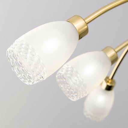 Luster na tyči CARLA 8xG9/28W/230V zlatý