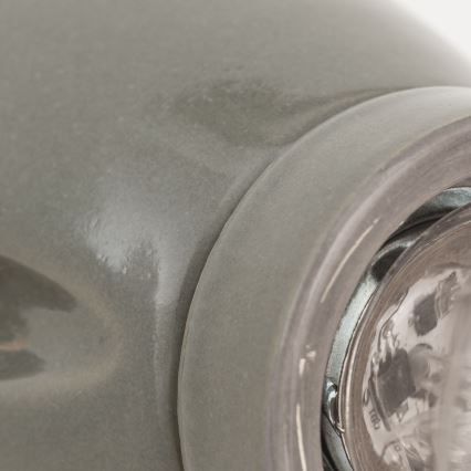 Nástenné svietidlo FROST 1xE27/60W/230V sivé