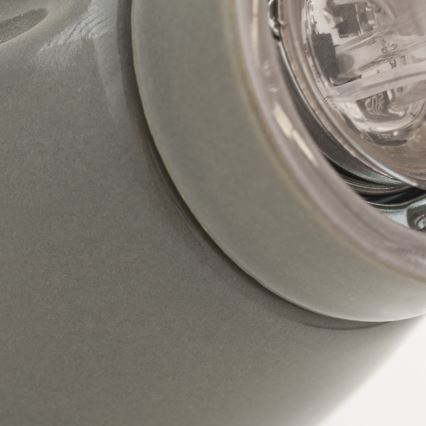 Nástenné svietidlo FROST 1xE27/60W/230V sivé