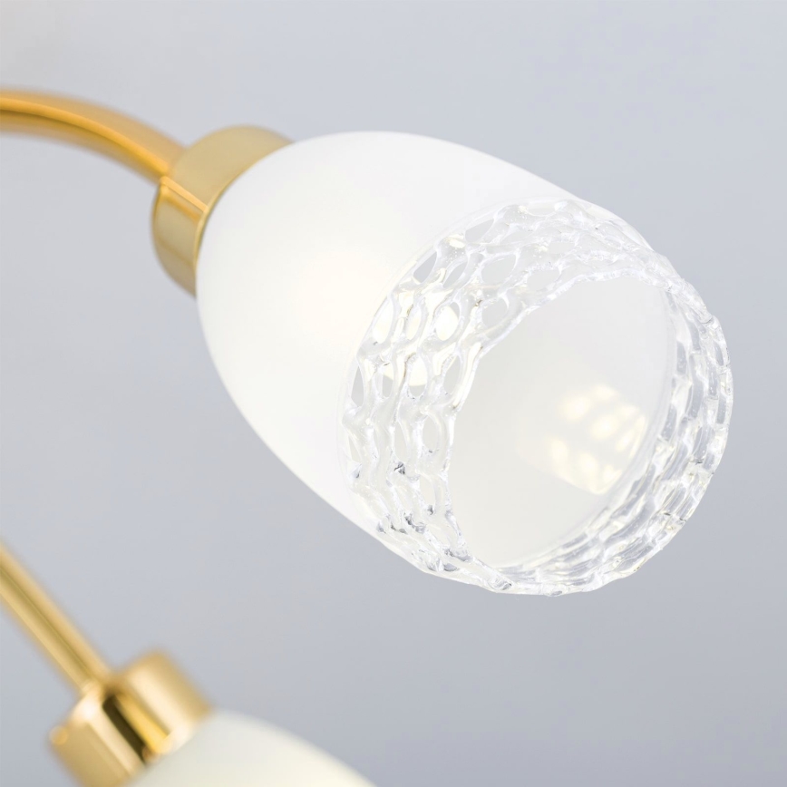 Prisadený luster CARLA 5xG9/28W/230V zlatý