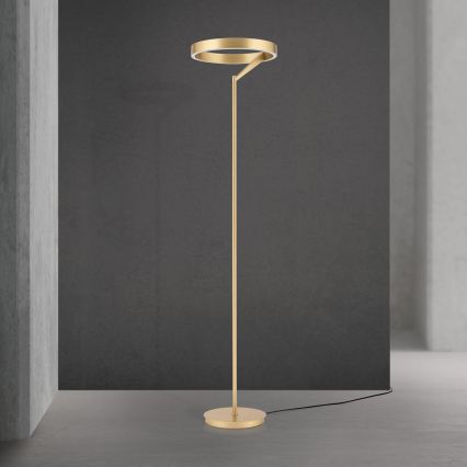 LED Stmievateľná stojacia lampa KOLK LED/40W/230V 2700/4000K zlatá