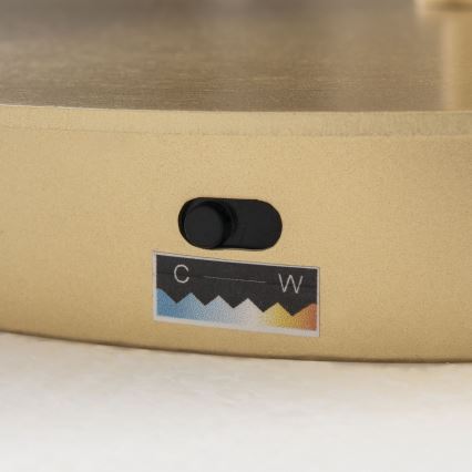 LED Stmievateľná stojacia lampa KOLK LED/40W/230V 2700/4000K zlatá