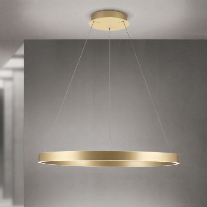 LED Stmievateľný luster na lane KOLK LED/80W/230V 2700/3000/4000K priemer 80 cm zlatá