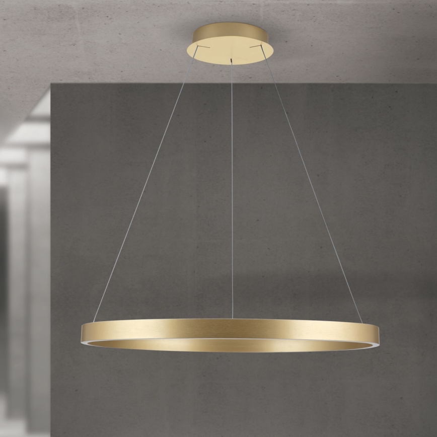 LED Stmievateľný luster na lane KOLK LED/80W/230V 2700/3000/4000K priemer 80 cm zlatá