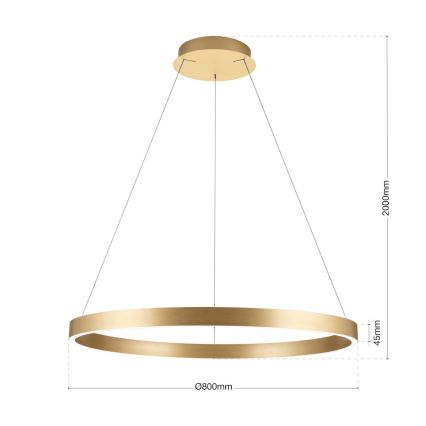 LED Stmievateľný luster na lane KOLK LED/80W/230V 2700/3000/4000K priemer 80 cm zlatá