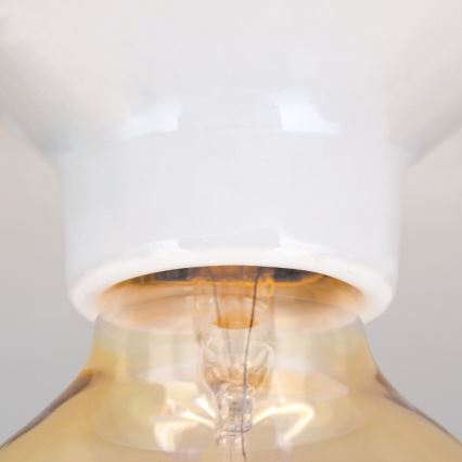 Stropné svietidlo FROST 1xE27/60W/230V biela