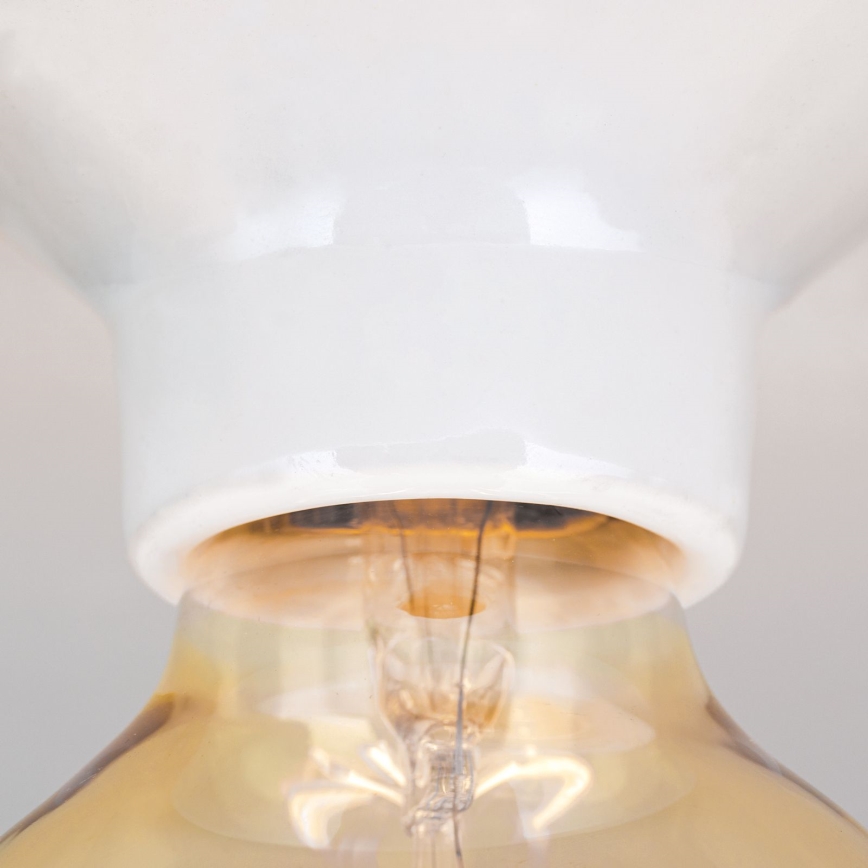 Stropné svietidlo FROST 1xE27/60W/230V biela