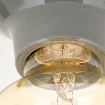 Stropné svietidlo FROST 1xE27/60W/230V sivé