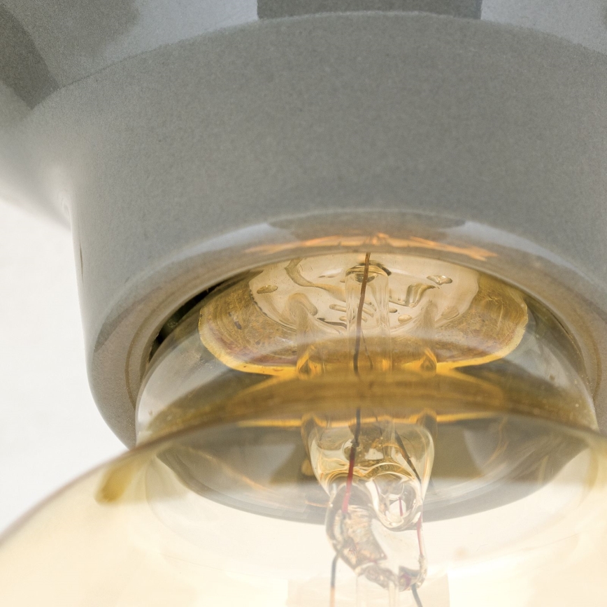 Stropné svietidlo FROST 1xE27/60W/230V sivé