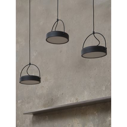 Osram - LED luster na lanku DECOR PUCK 3xLED/12W/230V CRI 90 čierny