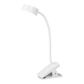 Osram - LED stlmiteľná stolná lampa so svorkou OFFICE LINE LED/4,8W/230V 3000/4000/6500K biela