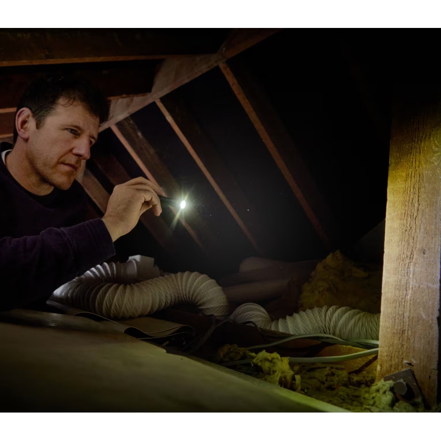 Osram - Stmievateľná LED baterka LEDINSPECT TORCH 250 ESSENTIAL LED/2W/2xAAA IP44