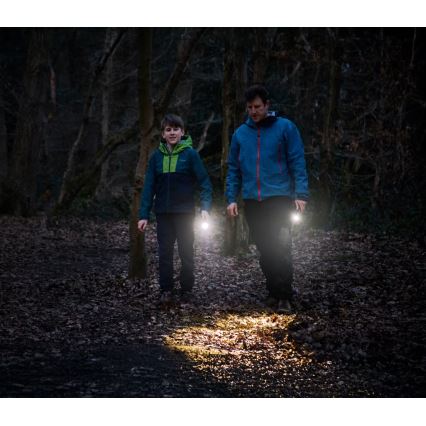 Osram - stmievateľná LED baterka LEDINSPECT TORCH 350 ESSENTIAL LED/4W/2xAAA IP44