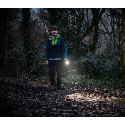 Osram - stmievateľná LED baterka LEDINSPECT TORCH 350 ESSENTIAL LED/4W/2xAAA IP44