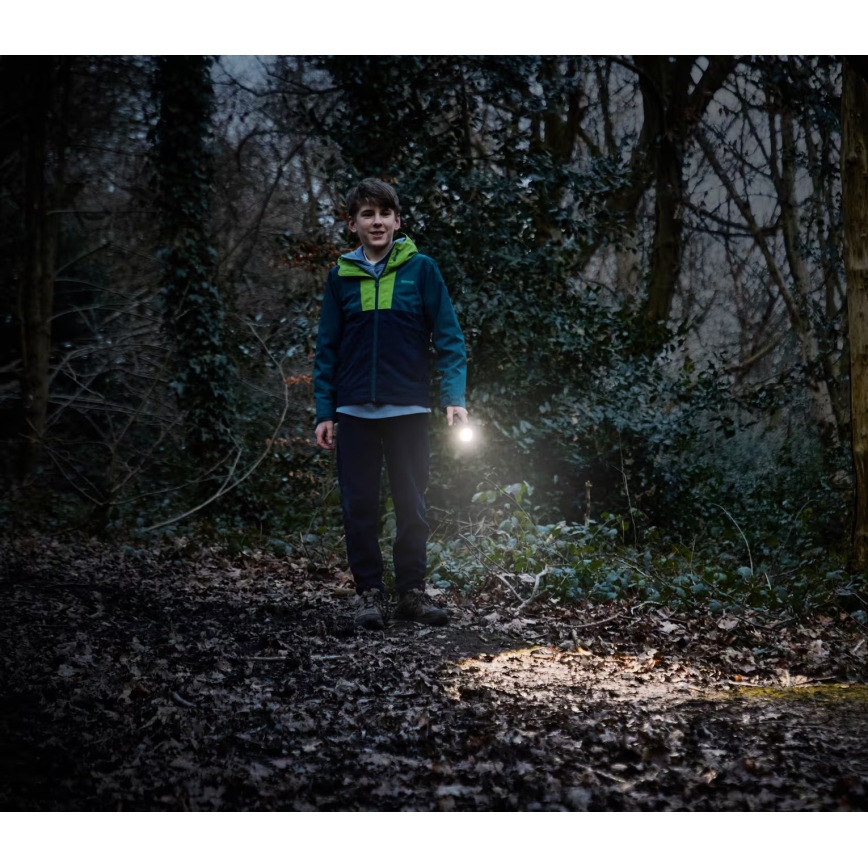 Osram - stmievateľná LED baterka LEDINSPECT TORCH 350 ESSENTIAL LED/4W/2xAAA IP44