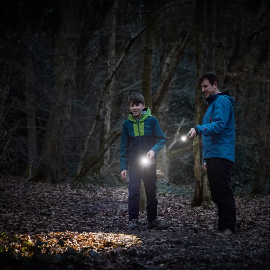 Osram - Stlmiteľná LED baterka LEDINSPECT TORCH 450 ESSENTIAL LED/6W/3xAAA IP44