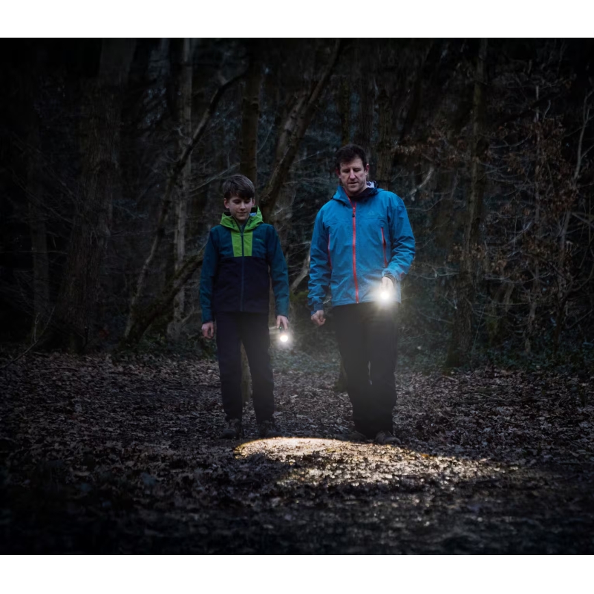 Osram - Stlmiteľná LED baterka LEDINSPECT TORCH 450 ESSENTIAL LED/6W/3xAAA IP44