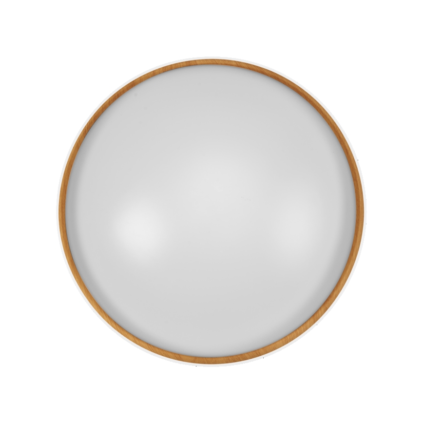 Osram - stmievateľné LED stropné svietidlo ORBIS LIVIA LED/36W/230V pr. 52 cm biela/hnedá