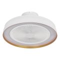 Osram - LED stmievateľné stropné svietidlo s ventilátorom CEILING FAN LED/49W/230V 2700-6500K biela/zlatá + diaľkové ovládanie