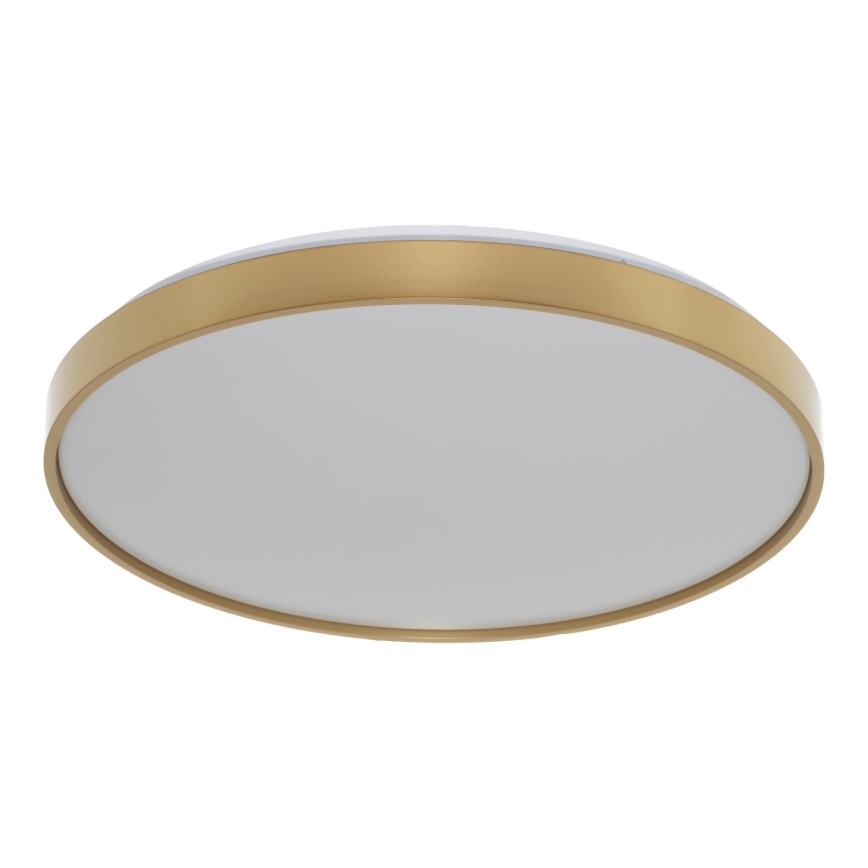 Osram - LED stropné svietidlo CEILING LUXO LED/36W/230V priemer 49 cm zlaté
