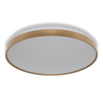 Osram - LED stropné svietidlo CEILING LUXO LED/60W/230V pr. 56 cm zlaté