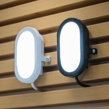 Osram - LED vonkajšie nástenné svietidlo BULKHEAD LED/11W/230V IP54 biela