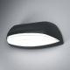 Osram - LED Vonkajšie nástenné svietidlo ENDURA LED/12W/230V čierna IP44