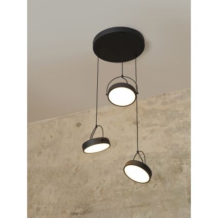 Osram - LED závesné svietidlo na lankách DECOR PUCK 3xLED/12W/230V CRI 90 čierne