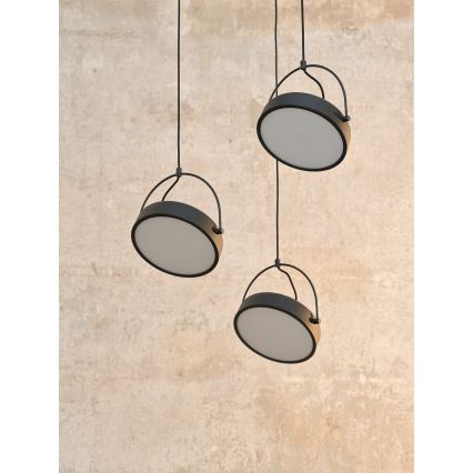 Osram - LED závesné svietidlo na lankách DECOR PUCK 3xLED/12W/230V CRI 90 čierne