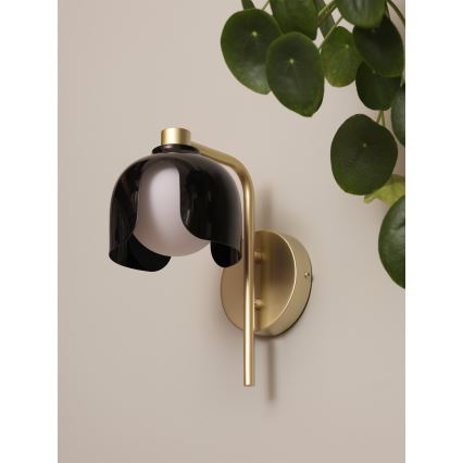 Osram - Nástenné svietidlo DECOR COROLLE 1xG9/20W/230V čierna/zlatá