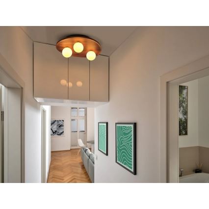 Osram - Stropné svietidlo ACACIA NEST 3xG9/5W/230V akácia