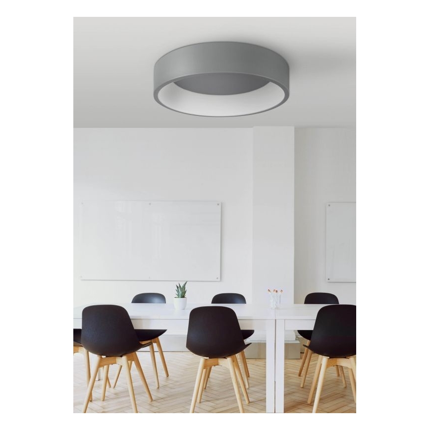 LED Stropné svietidlo KAJI LED/20W/230V
