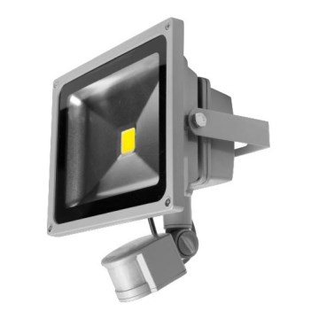 Panlux LM32300004 - LED reflektor so senzorom LED VANA S 1xLED/30W/230V Panlux LM32300004 - LED reflektor so senzorom LED VANA S 1xLED/30W/230V