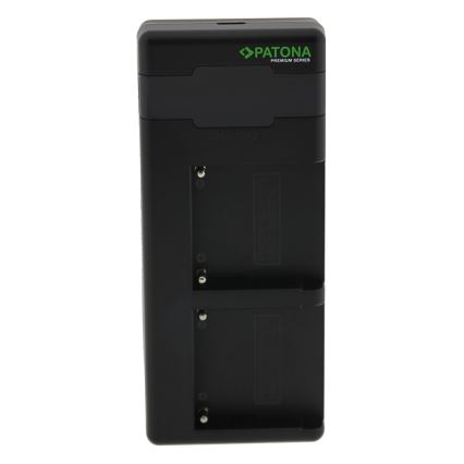 PATONA - Rýchlonabíjačka Dual Sony F550/F750/F970/FM50 + kábel USB-C 0,6m