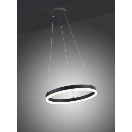 Paul Neuhaus 2381-13 - LED Stmievateľný luster na lanku TITUS LED/28W/230V