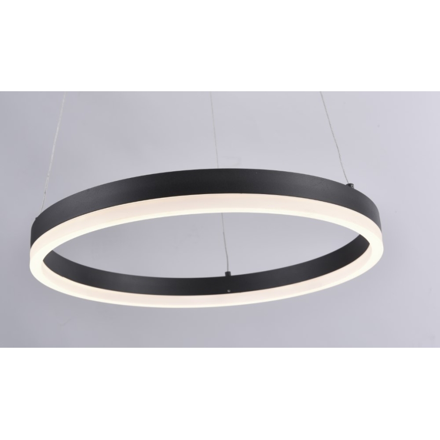 Paul Neuhaus 2381-13 - LED Stmievateľný luster na lanku TITUS LED/28W/230V