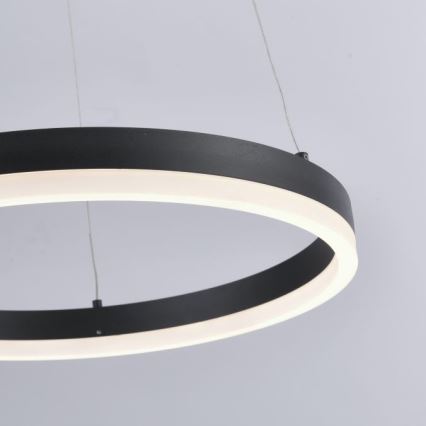 Paul Neuhaus 2381-13 - LED Stmievateľný luster na lanku TITUS LED/28W/230V
