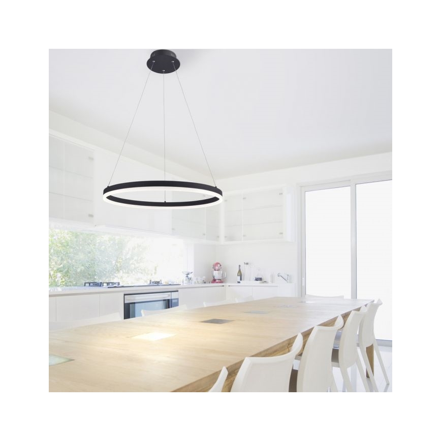 Paul Neuhaus 2382-13 - LED Stmievateľný luster na lanku TITUS LED/38,5W/230V