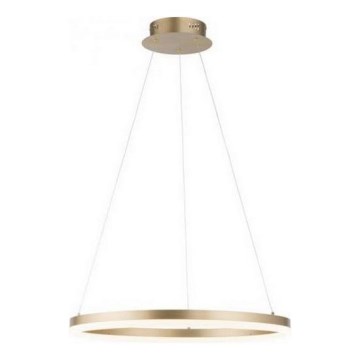 Paul Neuhaus 2382-60 - LED Stmievateľný luster na lanku TITUS LED/38,5W/230V
