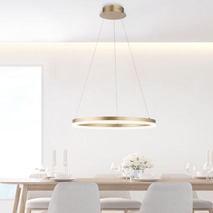 Paul Neuhaus 2382-60 - LED Stmievateľný luster na lanku TITUS LED/38,5W/230V