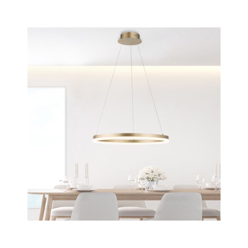 Paul Neuhaus 2382-60 - LED Stmievateľný luster na lanku TITUS LED/38,5W/230V