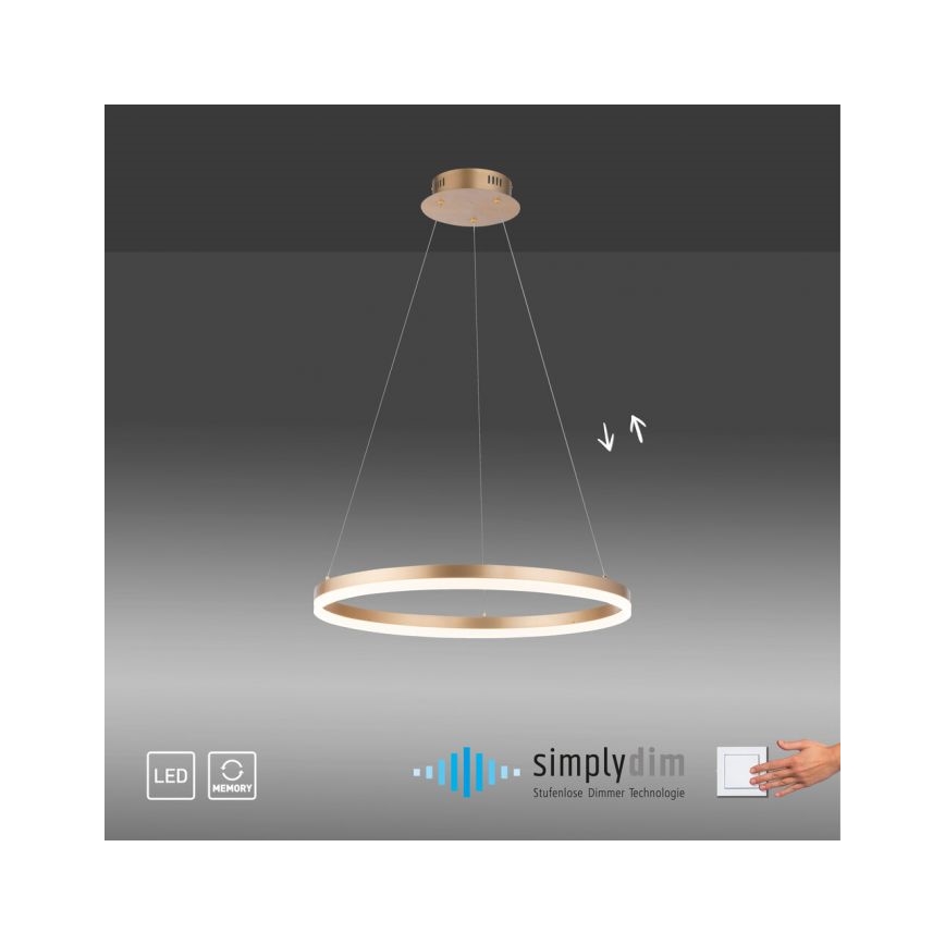 Paul Neuhaus 2382-60 - LED Stmievateľný luster na lanku TITUS LED/38,5W/230V