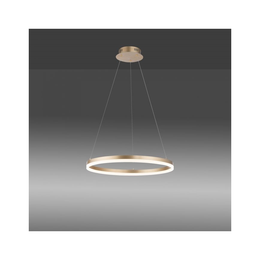 Paul Neuhaus 2382-60 - LED Stmievateľný luster na lanku TITUS LED/38,5W/230V