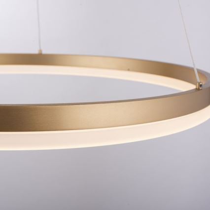 Paul Neuhaus 2382-60 - LED Stmievateľný luster na lanku TITUS LED/38,5W/230V