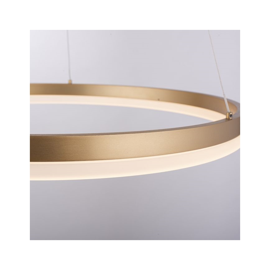 Paul Neuhaus 2382-60 - LED Stmievateľný luster na lanku TITUS LED/38,5W/230V