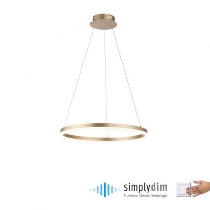 Paul Neuhaus 2382-60 - LED Stmievateľný luster na lanku TITUS LED/38,5W/230V