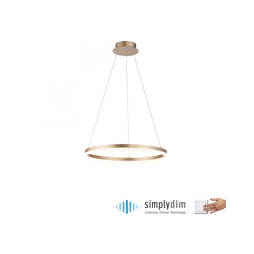 Paul Neuhaus 2382-60 - LED Stmievateľný luster na lanku TITUS LED/38,5W/230V